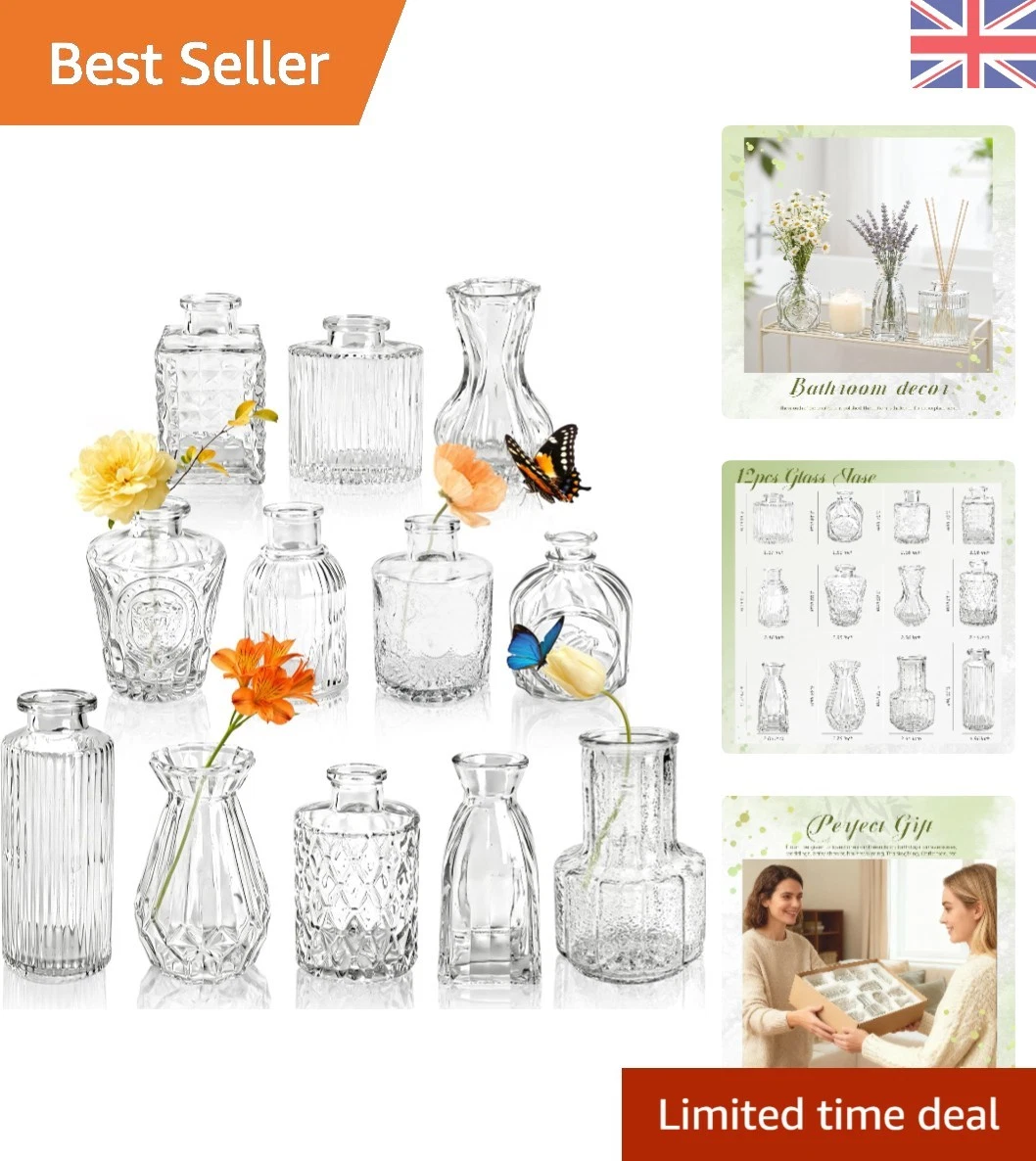 Set of 12 Break-Resistant Glass Bud Vases – Perfect for Floral Displays & Gifts