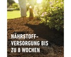Bild 4 von 7