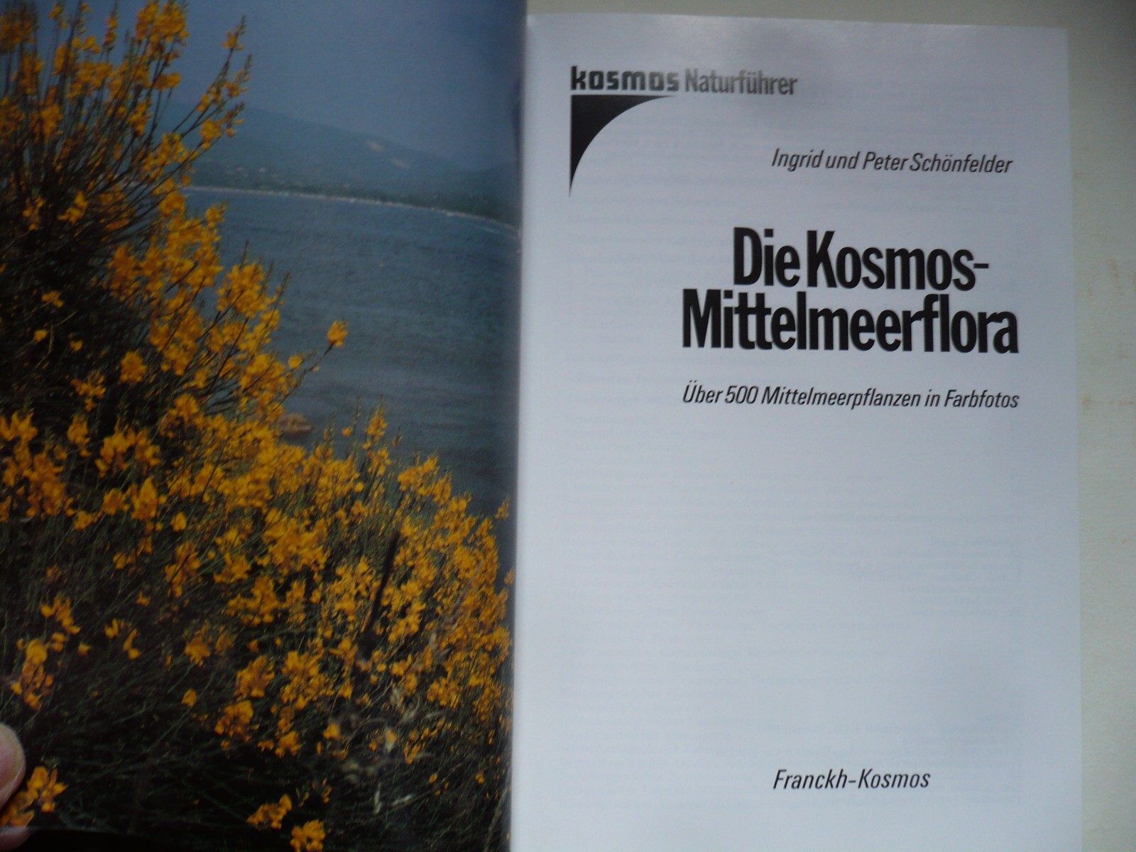 Bild 4 von 4