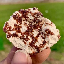 19g Natural Dark Red Garnet QuartzCrystal Rough Mineral Specimen