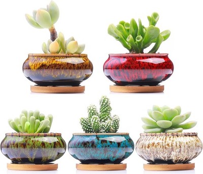 Cute Ceramic Succulent Garden Pots, Planter with Drainage and 4 inch, Burner 