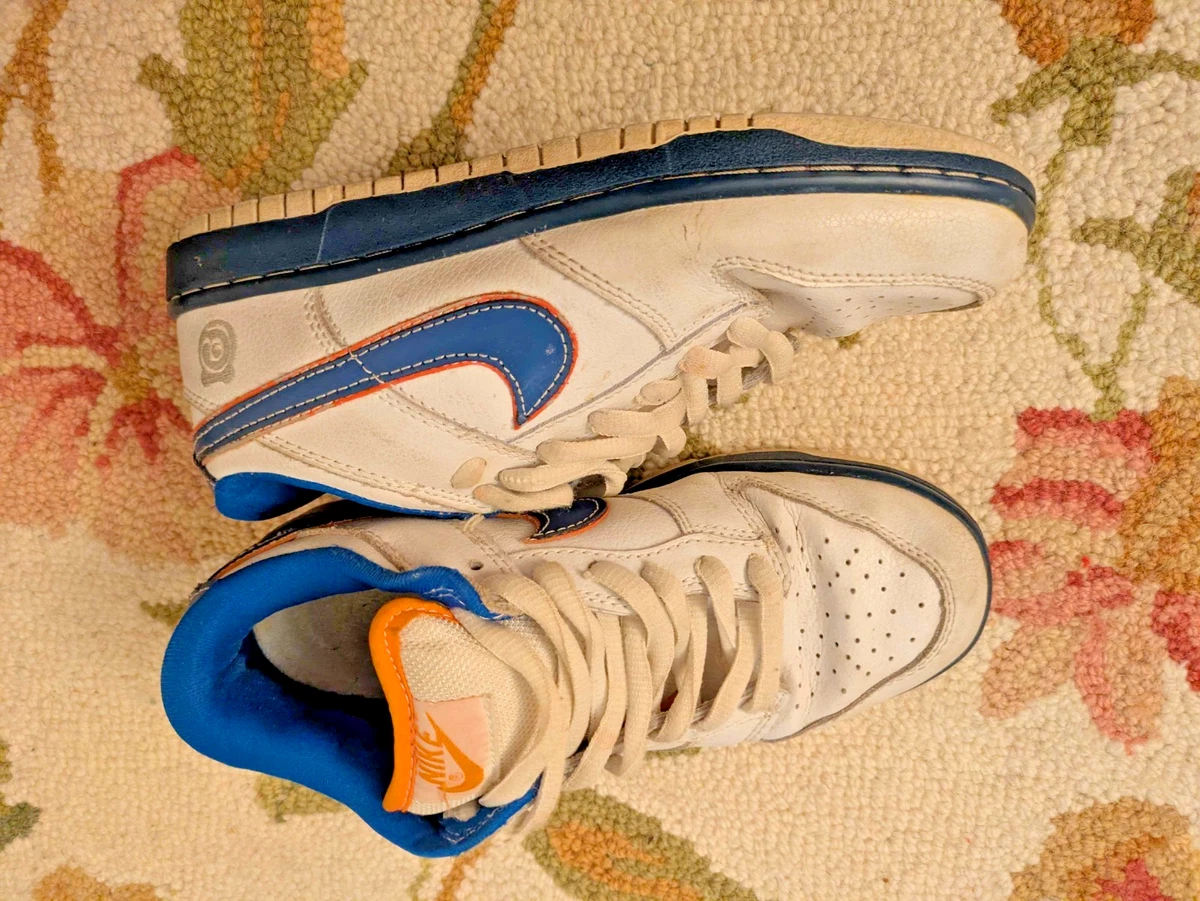 Nike Dunk Pro SB Low Medicom 1 for Sale | Authenticity Guaranteed