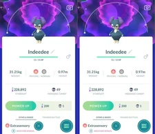 Pokémon Shiny Indeedee Male Female - P T C or Trade - GO Read description
