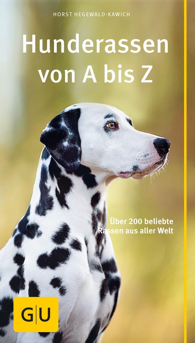 Hunderassen Von A Bis Z | Über 200 Beliebte Rassen Aus Aller Welt |
