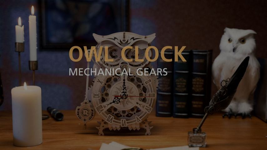 ROKR Horloge Hibou En Bois – Puzzle 3D Mécanique à Construire – 161 Pièces – Fonctionne Avec Pile AA – Déco Murale – Dès 14 Ans