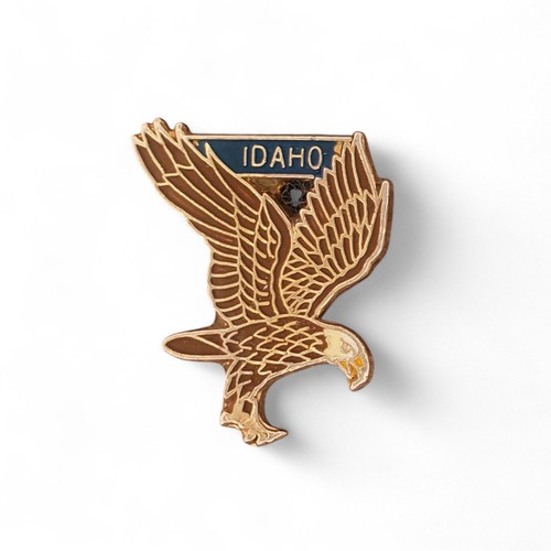 Vintage Idaho Eagle Lapel Pin State Souvenir Collectible Gold Tone Enamel