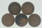 1901 1902 1903 1906 1907 Indian Head Cent Lot of 5 (715)