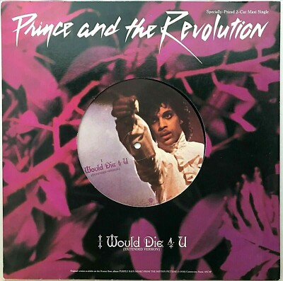 PRINCE AND THE REVOLUTION 