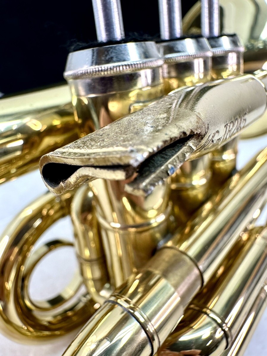 Tromba Tascabile Stagg WS - TR245 In Sib - Acciaio Inossidabile Con Custodia