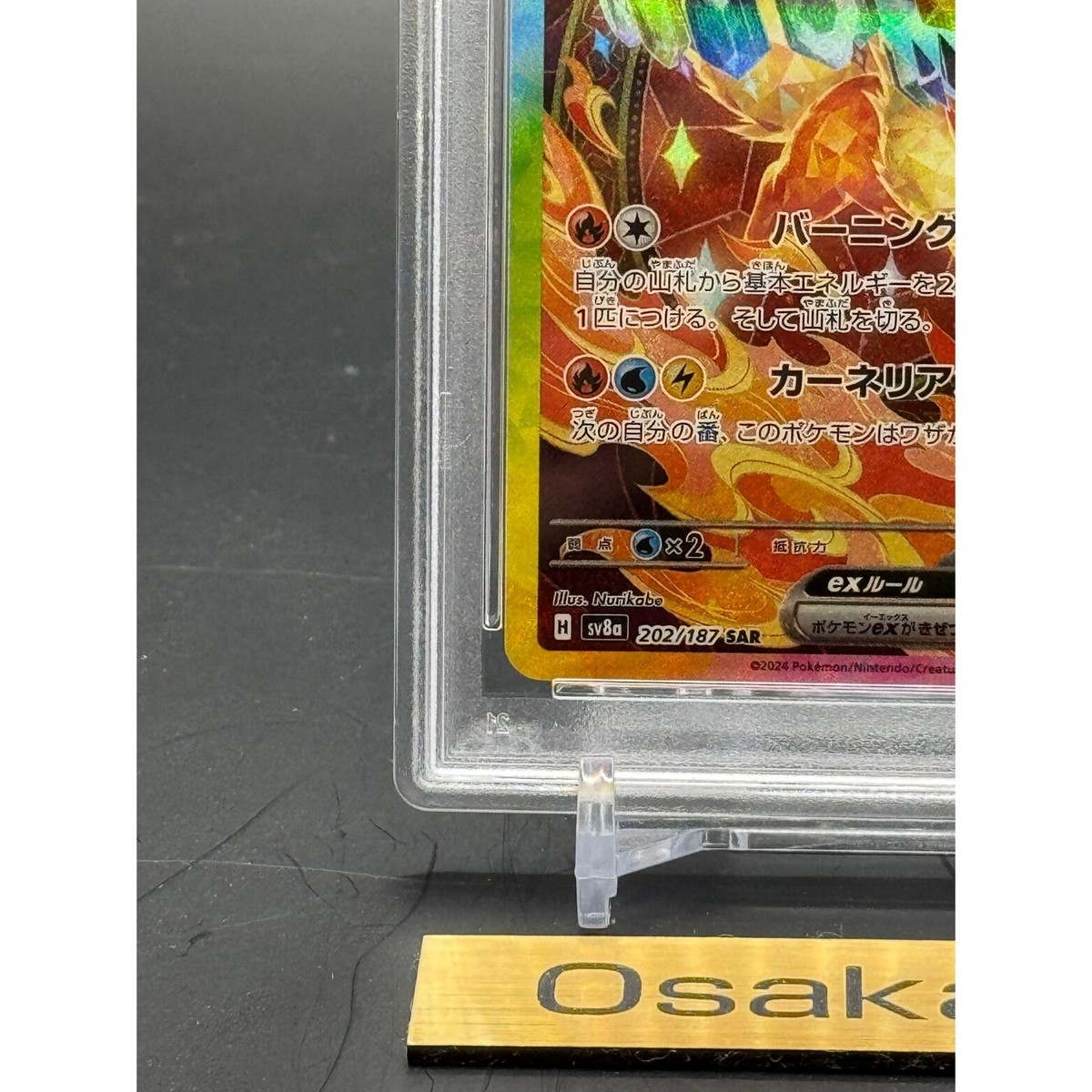 PSA 10 Flareon ex SAR 202/187 sv8a Terastal Festival ex Pokemon