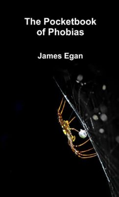 The Pocket Book of Phobias by James Egan (Paperback, 2015)