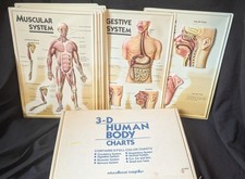 3D Human Body Charts SET 8 pieces EI-5220 Educational Insights 9x13  