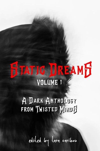Static Dreams Volume 1 A Dark Anthology From Twisted Minds Tara Caribou Buch-image