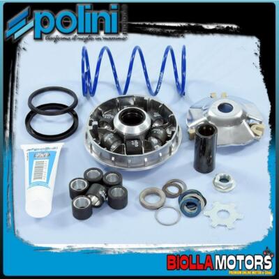 241.753 VARIATOR POLINI HI-SPEED EVO2 D.16 14 BETA CHRONO 50 2T