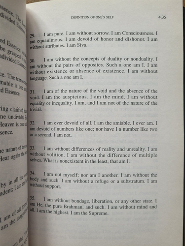 THE RIBHU GITA First English Translation From Original Sanskrit 1st HB/DJ NICE! - Imagen 6 de 8