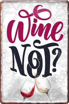 Blechschild Lustiger Spruch  Wine Not?'' 20x30 cm