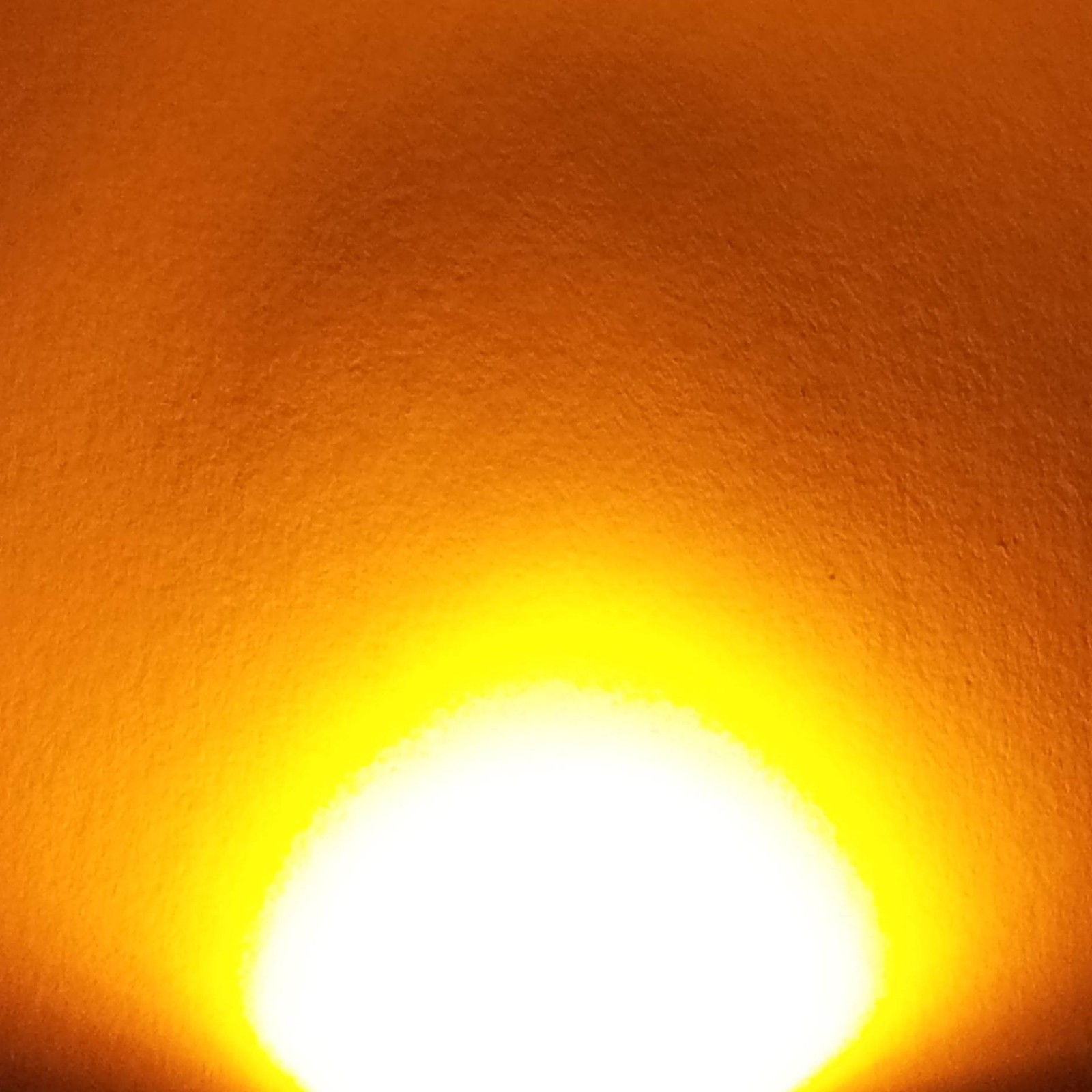 Picture 7 of 7