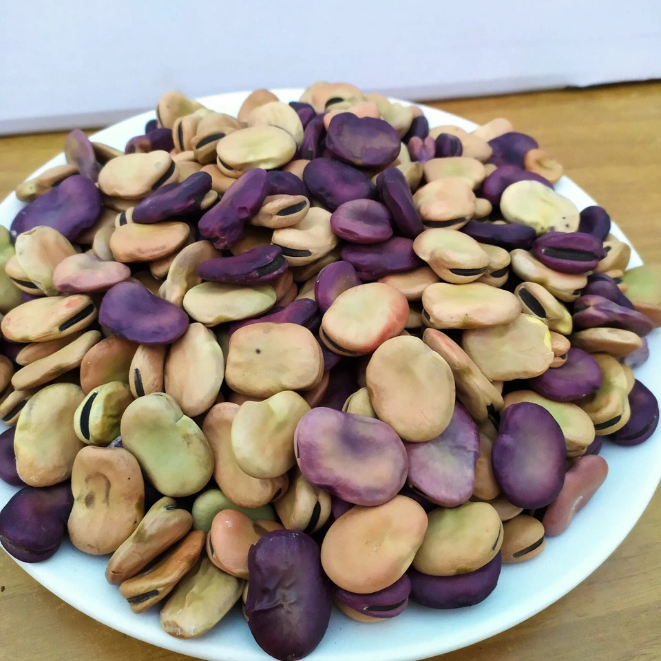 Fava Maior Harz 10kg 40€ Coltivata In Pugla La Più Gigante La Più Antica SpGrat - Immagine 3 di 4