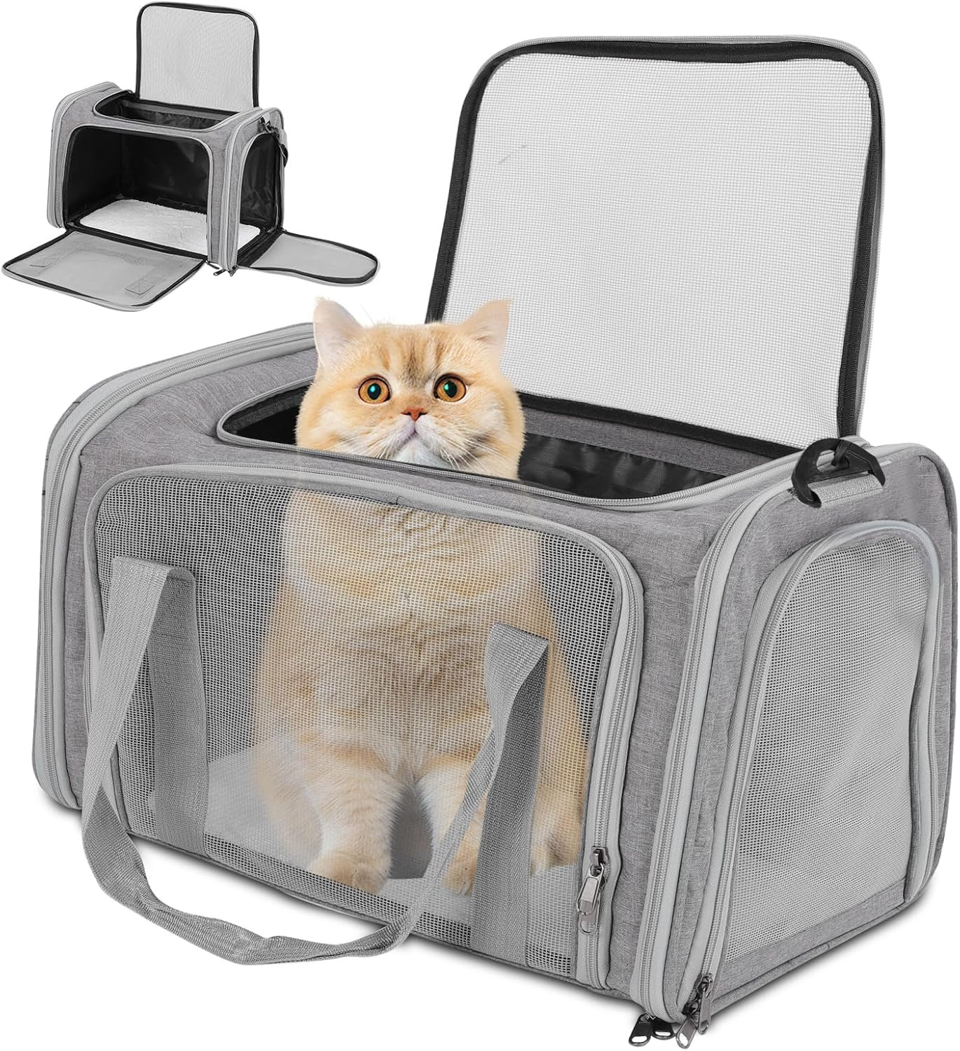 Trasportino Gatti Morbido Pieghevole Omologato Aereo - Comfort Premium
