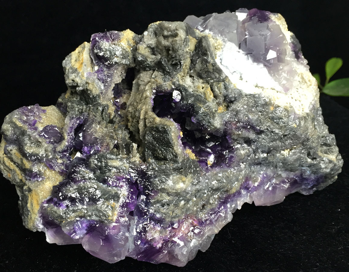 Foto 11 di 12