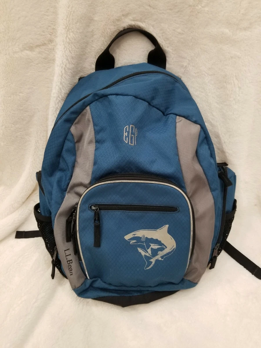 Men ll bean clearance backpack