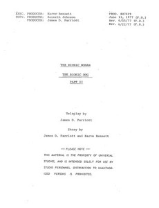 Classic Script The Bionic Woman The Bionic Dog-2 Richard Anderson Notes (copy)