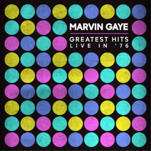 Marvin Gaye Greatest Hits Live In '76 (Vinyl LP) Live In Amsterdam / 1976