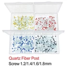 100 Pcs Dental Endo Quartz Fiber Post Straight/Screw Restorative Posts 1.0-1.8mm