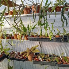  6" Aluminium Greenhouse Shelf  60 inch with Brackets complete with bolts