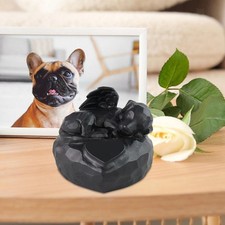 Pet Urn Memorial Box Retain Memories Memorable Keepsake Case Remembrance