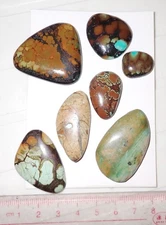 Turquoise Stone Flat Free Form Cabochon 215 Carat 7 pieces 43 gram