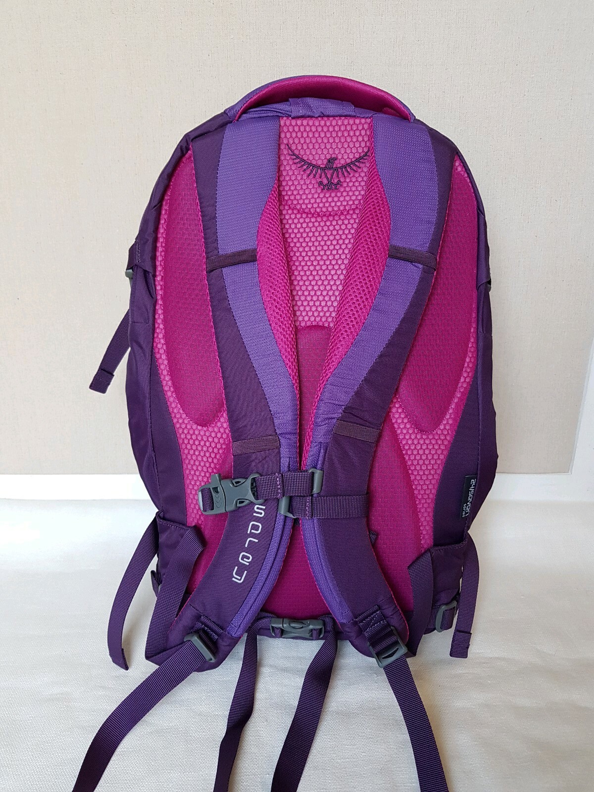 osprey celeste pack