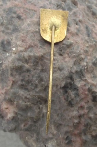 Antique Liberec Reichenberg City Heraldic Crest Tourist Souvenier Pin Badge - Picture 3 of 3