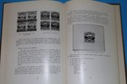 Picture 8 of 9