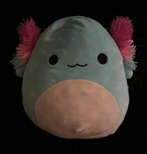 Squishmallows Axolotl Plush Stuffed Animal Blue/Pink Gills Small 6-14 in 