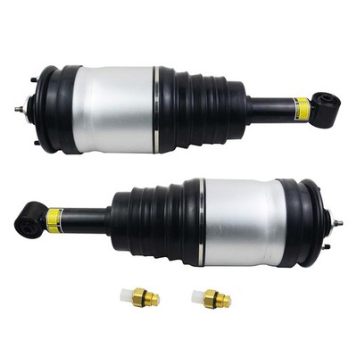 Links & Rechts Hinten Federbein für Land Rover Discovery 3/4 319 05-09 RPD000306