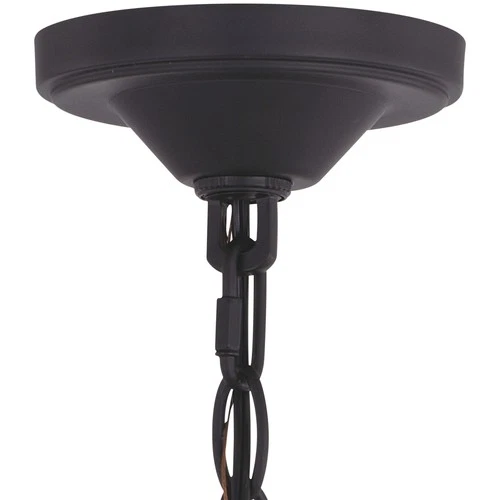 Vaxcel Lighting T0547 Collins 1 Light 10"W Pendant - Black - Picture 2 of 10