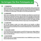 Bild 7 von 8