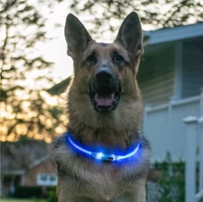 Coastal Pet Coastal USB Light-Up Neck Ring, Blue, 24 in. Maximum