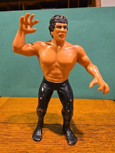 Vintage WWF LJN Wrestling Superstars Ricky The Dra...