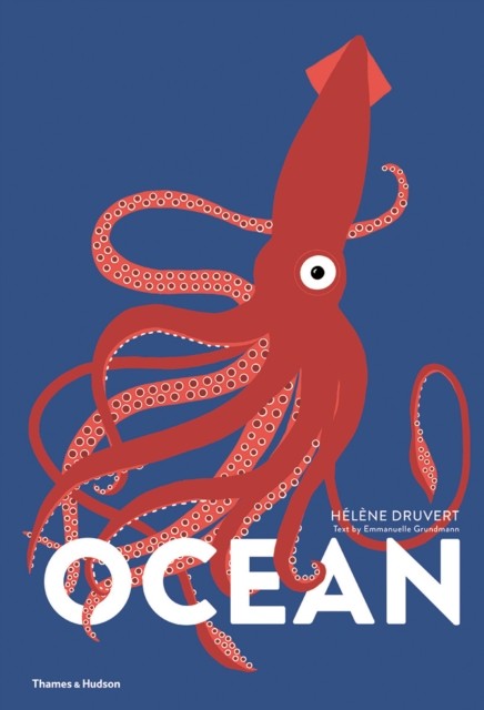 Ocean by Emmanuelle Grundmann (Hardback Book)