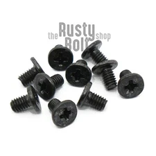M2.5 x 4mm, Phillips Wafer Flat Head Screws, Black, Computer, Laptop, Machine