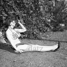 1960s Negative-sexy brunette pinup girl Cozette Cosen-cheesecake t457722