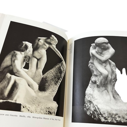 RODIN by YVON TAILLANDIER - Imagen 10 de 12