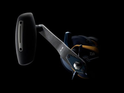 Daiwa 15HL-SJ 22 Saltiga Bait Reel (2022 Model)NEW | eBay