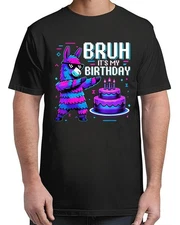 Bruh Its My Birthday Llama Pinata Vintage Adult S-4XL T-Shirt