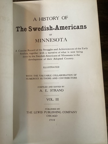 A History of Swedish-Americans of Minnesota 3 Vol Set 1910 LEATHER Spine Corners - Picture 13 of 24