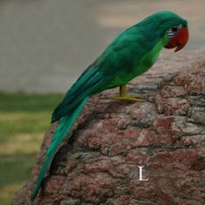 Fake Artificial Parrot Feathered Bird Budgie Garden Home Decor Realistic 30cm
