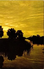 Florida Evening Waterway Sunset Scenic Landscape Trees Chrome Postcard