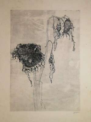Boon, Jan (1882-1975) signierte Radierung SONNENBLUMEN - 1910